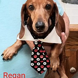 Thumbnail photo of Regan #2
