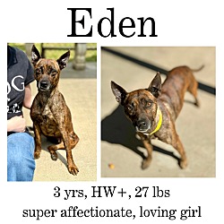 Thumbnail photo of Eden #1