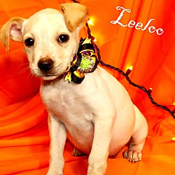 Thumbnail photo of Leelo ~ meet me! #1
