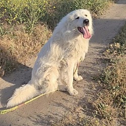 Photo of Kilo
