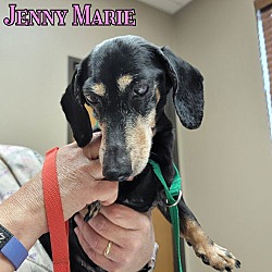 Thumbnail photo of Jenny Marie #2