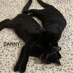 Thumbnail photo of Danny #2