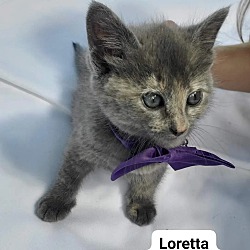 Thumbnail photo of LORETTA #2