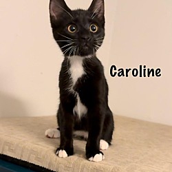 Thumbnail photo of Caroline #3