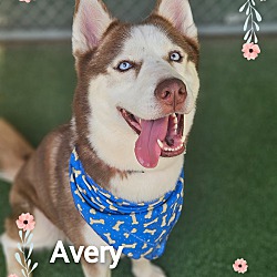 Thumbnail photo of AVERY #3