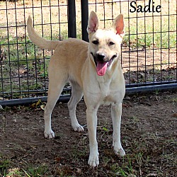 Thumbnail photo of Sadie ~ meet me! #2