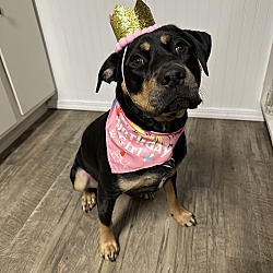 Photo of Millie