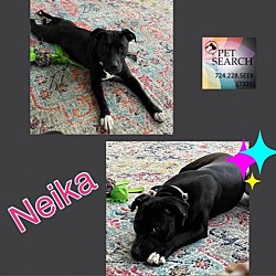 Photo of Neika