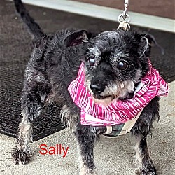 Photo of Sally/sm