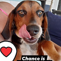 Thumbnail photo of Chance #3