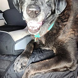 Photo of Baby Girl