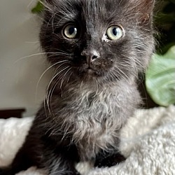Photo of Buffy