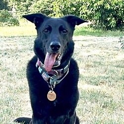 Photo of Chase