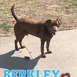 Thumbnail photo of Berkley (Courtesy Post) #2