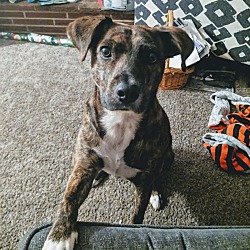 Photo of Moe