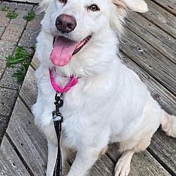 Photo of Lily