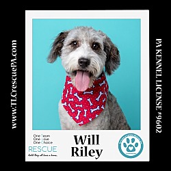 Photo of Will Riley 042024