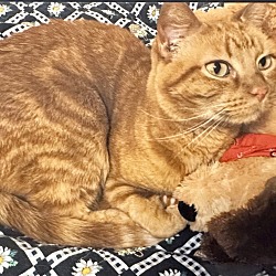 Photo of Maude