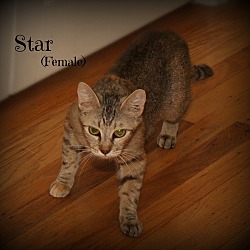 Thumbnail photo of Star #2