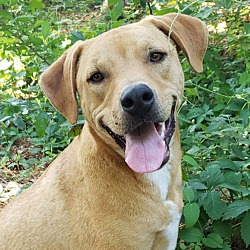 Photo of Rocco