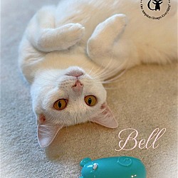 Photo of Bell AND Jalapeno