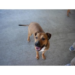 Photo of PAISLEY