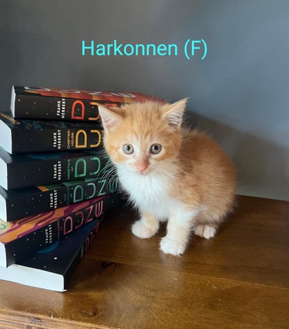 Photo of Harkonnen