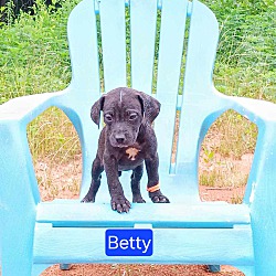 Photo of Betty