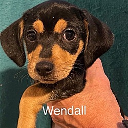 Photo of Wendell