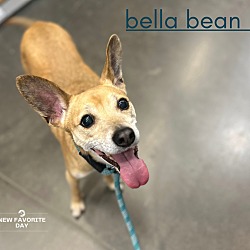 Photo of Bella Bean