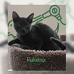 Thumbnail photo of Rubidoux #2