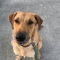 Photo of Charlie
