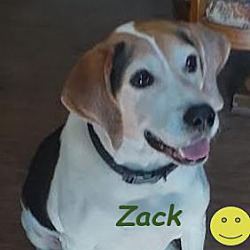 Photo of Zack