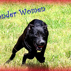 Thumbnail photo of Wonder Women~adopted! #4