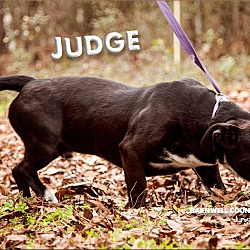 Thumbnail photo of Judge #2
