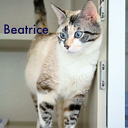 Thumbnail photo of Beatrice #1