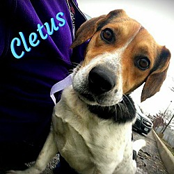 Thumbnail photo of Cletus #1