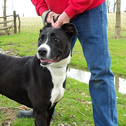 Thumbnail photo of Ellie #2