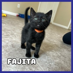 Photo of Fajita