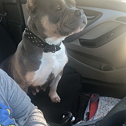 Photo of Tiny