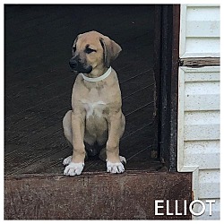 Thumbnail photo of Elliot #3