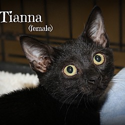 Thumbnail photo of Tianna #2