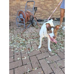 Photo of *MOXIE