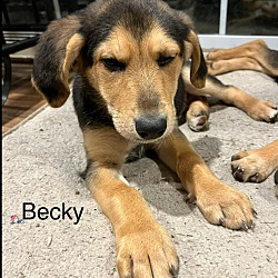 Thumbnail photo of Becky #4