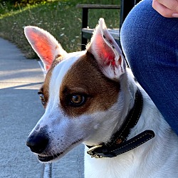 Photo of Sugar