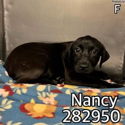 Photo of NANCY