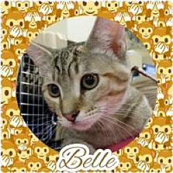 Thumbnail photo of Belle #2
