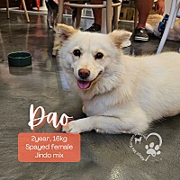 adopt-pet