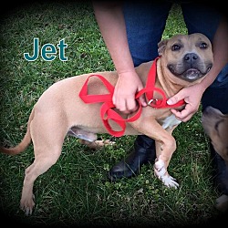 Thumbnail photo of Jet #1