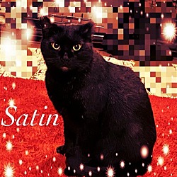 Photo of Satin